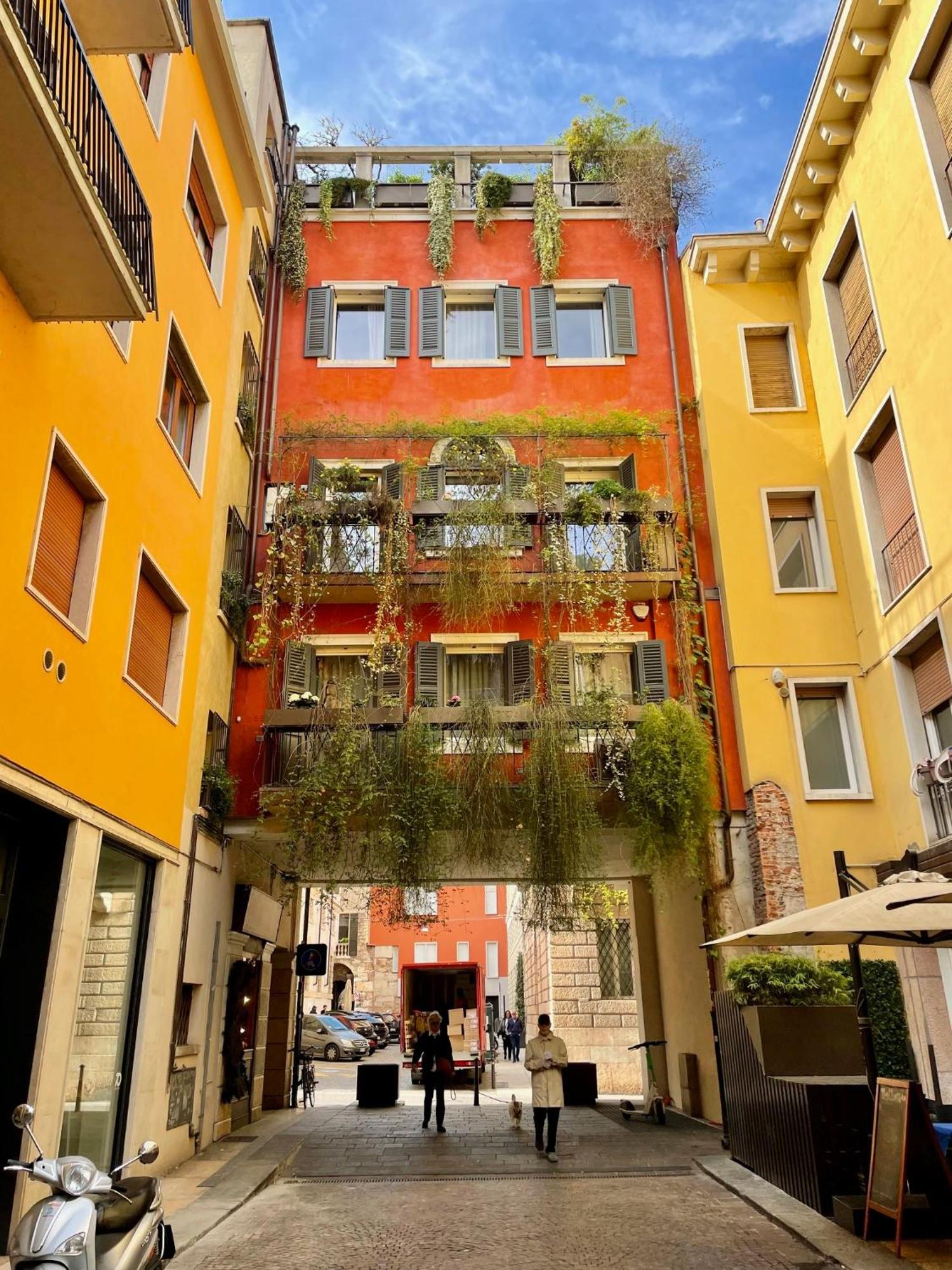 Appartamento Domus Pellicciai *
